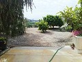 Preciosa Villa en Ricabacica, Abanilla + olivar en Partidor in Alicante Property