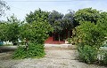 Lovely Villa in Ricabacica, Abanilla + olive grove in Partidor in Alicante Property