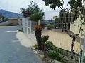 Schöne Villa in Ricabacica, Abanilla + Olivenhain in Partidor in Alicante Property