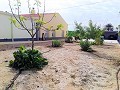 Belle Villa à Ricabacica, Abanilla + oliveraie à Partidor in Alicante Property