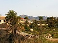 Schöne Villa in Ricabacica, Abanilla + Olivenhain in Partidor in Alicante Property