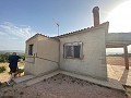 Villa with small guest house in Alicante Property