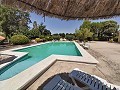 Beautiful Spacious Finca with 9 Bed, 3 Bath and Large Pool in Alicante Property