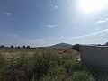 Building Plot in Salinas in Alicante Property