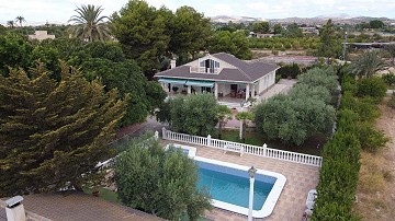 Detached Villa with a pool in Elche