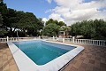 Detached Villa with a pool in Elche in Alicante Property
