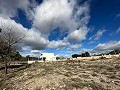 Terre dans Salinas - Revente in Alicante Property