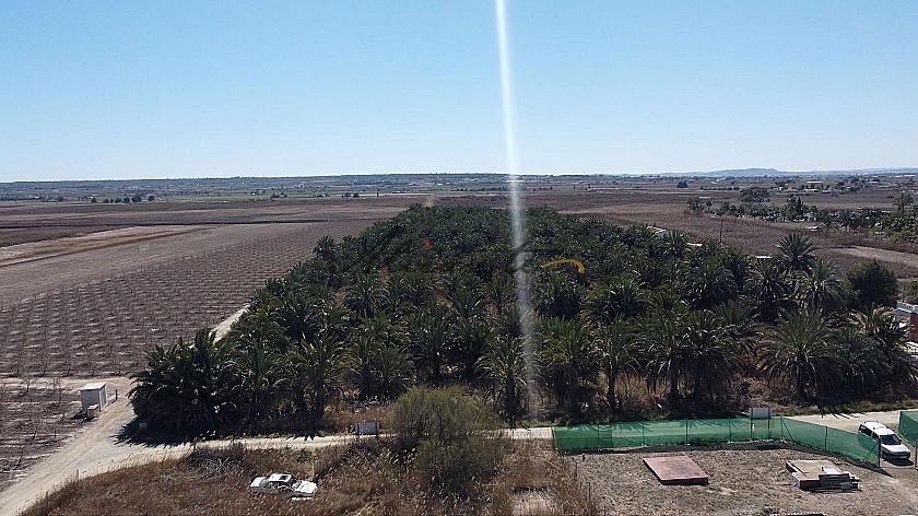 Non building plot of land in Elche with palm trees in Alicante Property