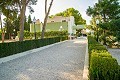 Villa de luxe à Aspe à distance de marche de la ville in Alicante Property