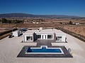 Neubau Villa Mordern in Pinoso mit Pool und Grundstück inklusive in Alicante Property
