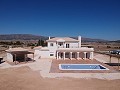 Prachtige nieuwe villa te koop in Pinoso in Alicante Property