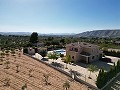 Gran casa ejecutiva de 5 dormitorios con piscina de 10x5 in Alicante Property