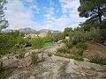 Lovely 2 Bedroom Country house in La Romana in Alicante Property