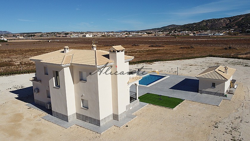 Neubau Villen in Pinoso in Alicante Property