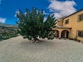 Hermosa villa/casa cueva de 4 dormitorios en Fortuna in Alicante Property