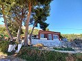 Country House in Rural Location in Alicante Property