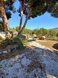 Casa de Campo en Zona Rural in Alicante Property