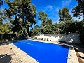 Beautiful country house with pool in Almansa in Alicante Property