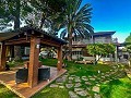 Magnificent luxury mansion in Elda  in Alicante Property