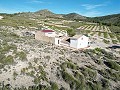 5 Bed 1 Bath Country House in Caudete in Alicante Property