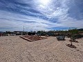 Beautiful plot in perfect condition in Yecla in Alicante Property