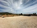 Beautiful plot in perfect condition in Yecla in Alicante Property