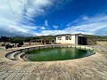Immense Villa de 11 chambres avec piscine à Ontinyent in Alicante Property
