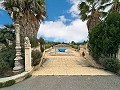 Beautiful villa with pool and 5 bedrooms in Sax in Alicante Property