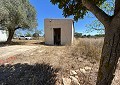 3 Bed 2 Bath Finca in Sax with over 16,000m2 of Land in Alicante Property