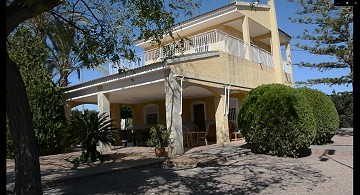 Villa de 5 dormitorios con piscina en Crevillente