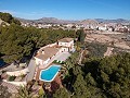 Large Villa on the outskirts of Monovar, walking distance to town in Alicante Property