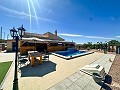 Wonderful villa with summer kitchen in Barinas in Alicante Property