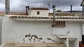Maison de ville avec 6 chambres et 4 salles de bain in Alicante Property